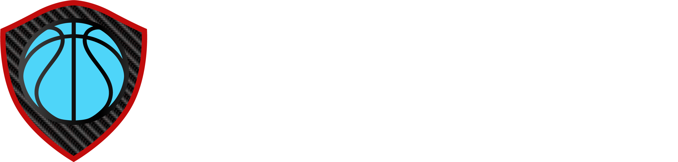Swagify Promo Logo